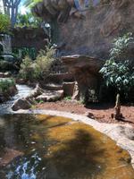 Loro Parque &ndash; &copy; Marcus Kühn (Eberhardt TRAVEL)