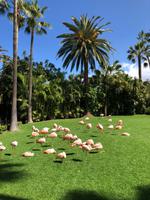 Loro Parque &ndash; &copy; Marcus Kühn (Eberhardt TRAVEL)