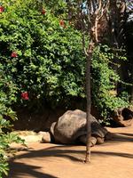 Loro Parque &ndash; &copy; Marcus Kühn (Eberhardt TRAVEL)