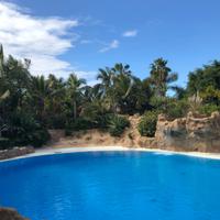 Loro Parque &ndash; &copy; Marcus Kühn (Eberhardt TRAVEL)