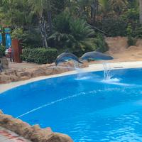 Loro Parque &ndash; &copy; Marcus Kühn (Eberhardt TRAVEL)