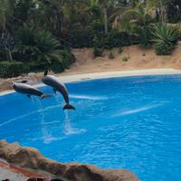 Loro Parque &ndash; &copy; Marcus Kühn (Eberhardt TRAVEL)