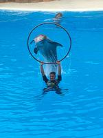 Loro Parque &ndash; &copy; Marcus Kühn (Eberhardt TRAVEL)