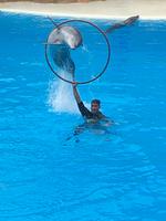 Loro Parque &ndash; &copy; Marcus Kühn (Eberhardt TRAVEL)