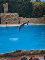 Loro Parque &ndash; &copy; Marcus Kühn (Eberhardt TRAVEL)