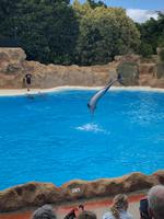 Loro Parque &ndash; &copy; Marcus Kühn (Eberhardt TRAVEL)