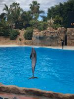 Loro Parque &ndash; &copy; Marcus Kühn (Eberhardt TRAVEL)