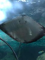 Loro Parque &ndash; &copy; Marcus Kühn (Eberhardt TRAVEL)