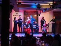 Flamenco Show in Sevilla (4) &ndash; &copy; Benjamin Rodriguez Manzanares (Eberhardt TRAVEL)
