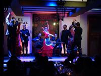 Flamenco Show in Sevilla (8) &ndash; &copy; Benjamin Rodriguez Manzanares (Eberhardt TRAVEL)