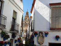 Spaziergang durch Cordoba (5) &ndash; &copy; Benjamin Rodriguez Manzanares (Eberhardt TRAVEL)