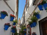 Spaziergang durch Cordoba (6) &ndash; &copy; Benjamin Rodriguez Manzanares (Eberhardt TRAVEL)