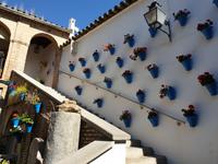 Spaziergang durch Cordoba (8) &ndash; &copy; Benjamin Rodriguez Manzanares (Eberhardt TRAVEL)