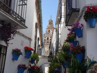 Spaziergang durch Cordoba (15) &ndash; &copy; Benjamin Rodriguez Manzanares (Eberhardt TRAVEL)