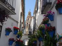 Spaziergang durch Cordoba (16) &ndash; &copy; Benjamin Rodriguez Manzanares (Eberhardt TRAVEL)