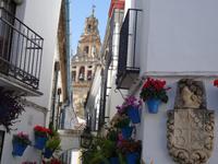 Spaziergang durch Cordoba (17) &ndash; &copy; Benjamin Rodriguez Manzanares (Eberhardt TRAVEL)