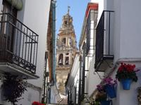 Spaziergang durch Cordoba (18) &ndash; &copy; Benjamin Rodriguez Manzanares (Eberhardt TRAVEL)