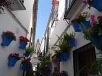 Spaziergang durch Cordoba (19) &ndash; &copy; Benjamin Rodriguez Manzanares (Eberhardt TRAVEL)