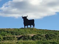 El Toro &ndash; &copy; Benjamin Rodriguez Manzanares (Eberhardt TRAVEL)