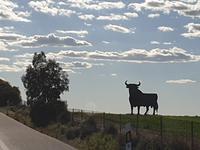 El Toro (2) &ndash; &copy; Benjamin Rodriguez Manzanares (Eberhardt TRAVEL)