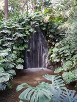 Botanische Garten La Concepcion in Malaga (3) &ndash; &copy; Benjamin Rodriguez Manzanares (Eberhardt TRAVEL)