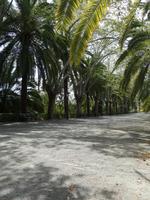 Botanische Garten La Concepcion in Malaga (4) &ndash; &copy; Benjamin Rodriguez Manzanares (Eberhardt TRAVEL)