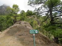 Mirador del Lomo de Tagasaste &ndash; &copy; Peggy Pfützner (Eberhardt TRAVEL)