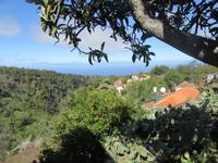 Las Tricias &ndash; &copy; Peggy Pfützner (Eberhardt TRAVEL)