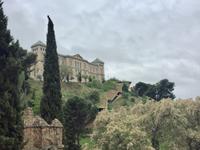 in Toledo