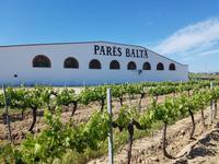 088_Weingut &ndash; &copy; Jörg Nesse (Eberhardt TRAVEL)