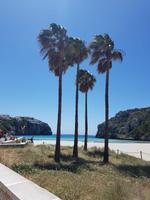 Cala en Porter, schöner als die Karibik ! &ndash; &copy; Petra Hady (Eberhardt TRAVEL)