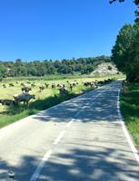 Gru¨ne Landschaft im Norden Kataloniens &ndash; &copy; Carina Schmidt (Eberhardt TRAVEL)