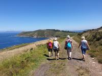 Fakultativer Ausflug mit Wanderung auf der Insel Ons im Nationalpark Illas Atlanticas (27) &ndash; &copy; Benjamin Rodriguez Manzanares (Eberhardt TRAVEL)