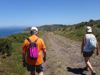 Fakultativer Ausflug mit Wanderung auf der Insel Ons im Nationalpark Illas Atlanticas (28) &ndash; &copy; Benjamin Rodriguez Manzanares (Eberhardt TRAVEL)