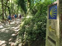 Wanderung auf dem Jakobsweg von Arzua nach Arca (30) &ndash; &copy; Benjamin Rodriguez Manzanares (Eberhardt TRAVEL)