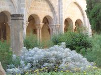 Kloster Poblet &ndash; &copy; Barbara Mihut (Eberhardt TRAVEL)