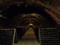 Caves Codorniu &ndash; &copy; Barbara Mihut (Eberhardt TRAVEL)