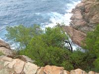 Tossa de Mar &ndash; &copy; Barbara Mihut (Eberhardt TRAVEL)