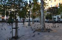 Plaza del Carmen &ndash; &copy; Katja Neumann (Eberhardt TRAVEL)