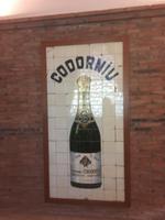 Herzlich Willkommen in Codorniu &ndash; &copy; Carina Schmidt (Eberhardt TRAVEL)