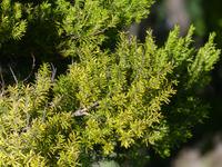 P1160388 &ndash; &copy; Margret van Blokland (Eberhardt TRAVEL)