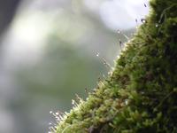P1170129 &ndash; &copy; Margret van Blokland (Eberhardt TRAVEL)