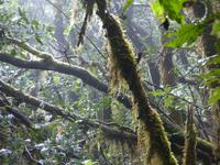 P1170131 &ndash; &copy; Margret van Blokland (Eberhardt TRAVEL)