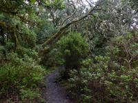 P1170132 &ndash; &copy; Margret van Blokland (Eberhardt TRAVEL)