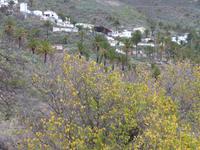 P1170159 &ndash; &copy; Margret van Blokland (Eberhardt TRAVEL)