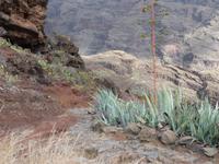 P1170212 &ndash; &copy; Margret van Blokland (Eberhardt TRAVEL)