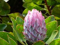 P1170258 &ndash; &copy; Margret van Blokland (Eberhardt TRAVEL)