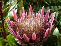 P1170259 &ndash; &copy; Margret van Blokland (Eberhardt TRAVEL)