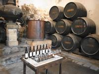 Silvesterreise Sevilla - Jerez de la Frontera, Sherryverkostung bei González Byass &ndash; &copy; Martina Häselbarth (Eberhardt TRAVEL)