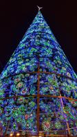 Weihnachtsbaum aud Puerta del Sol